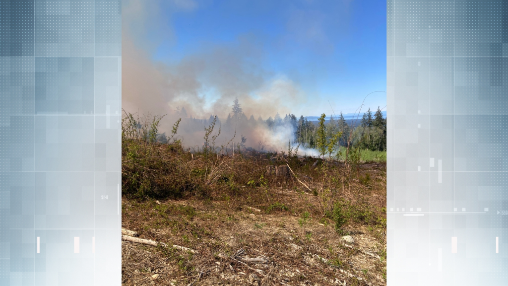 Wildfire near Coombs now being held after growing to 1 hectare