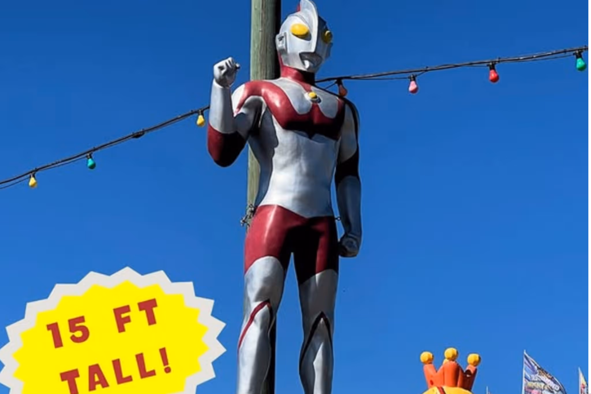 Richmond Night Market is selling more weird props as curtain call nears