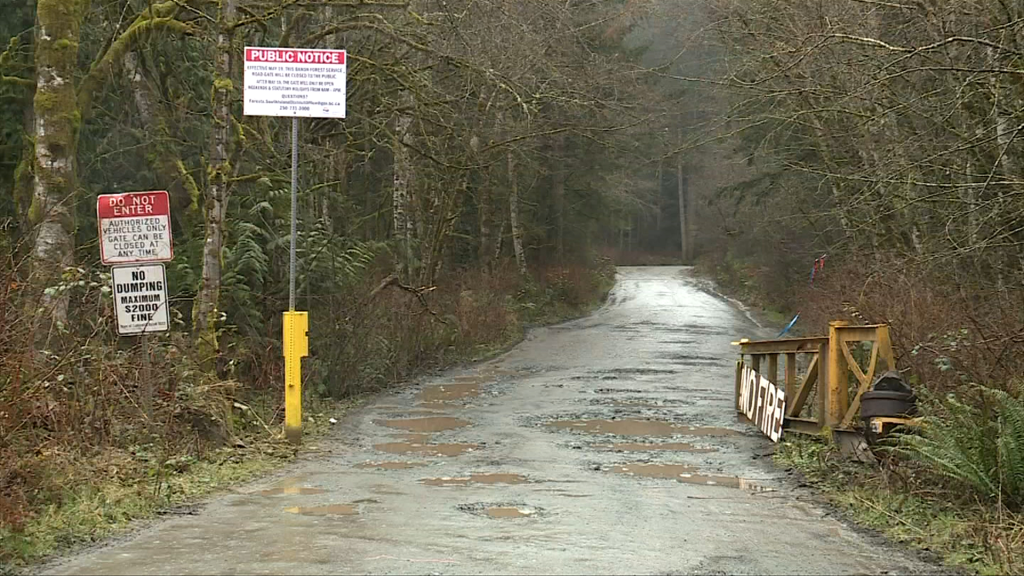 ‘Ongoing risks’: Ladysmith repeats call for B.C. support following human-caused wildfire