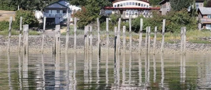 Coastal development reshaping nearly half of Comox Valley shoreline