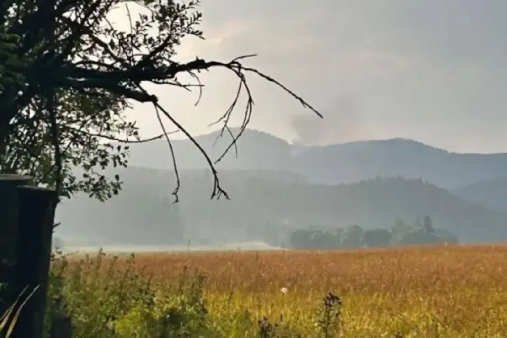 3 new wildfires discovered west of Cherryville on Wednesday: BCWS